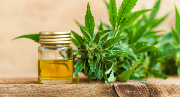 CBD for Arthritis Pain: What You Should Know - According to Arthritis foundation