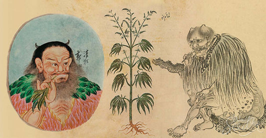 Medicinal Use of Hemp Dates Back To Ancient Times